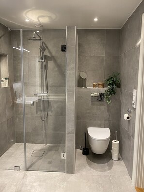 Chuveiro, secador de cabelo, sabonete, papel higiênico