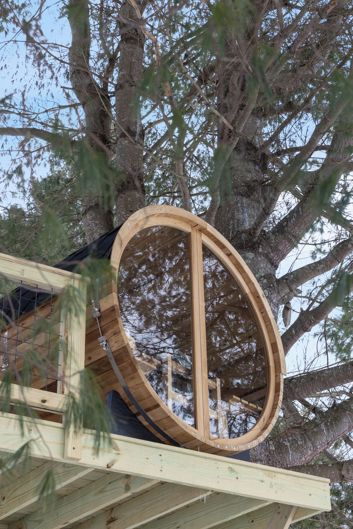 Una struttura in legno addossata a un albero, probabilmente una casa sull'albero o una piattaforma panoramica.