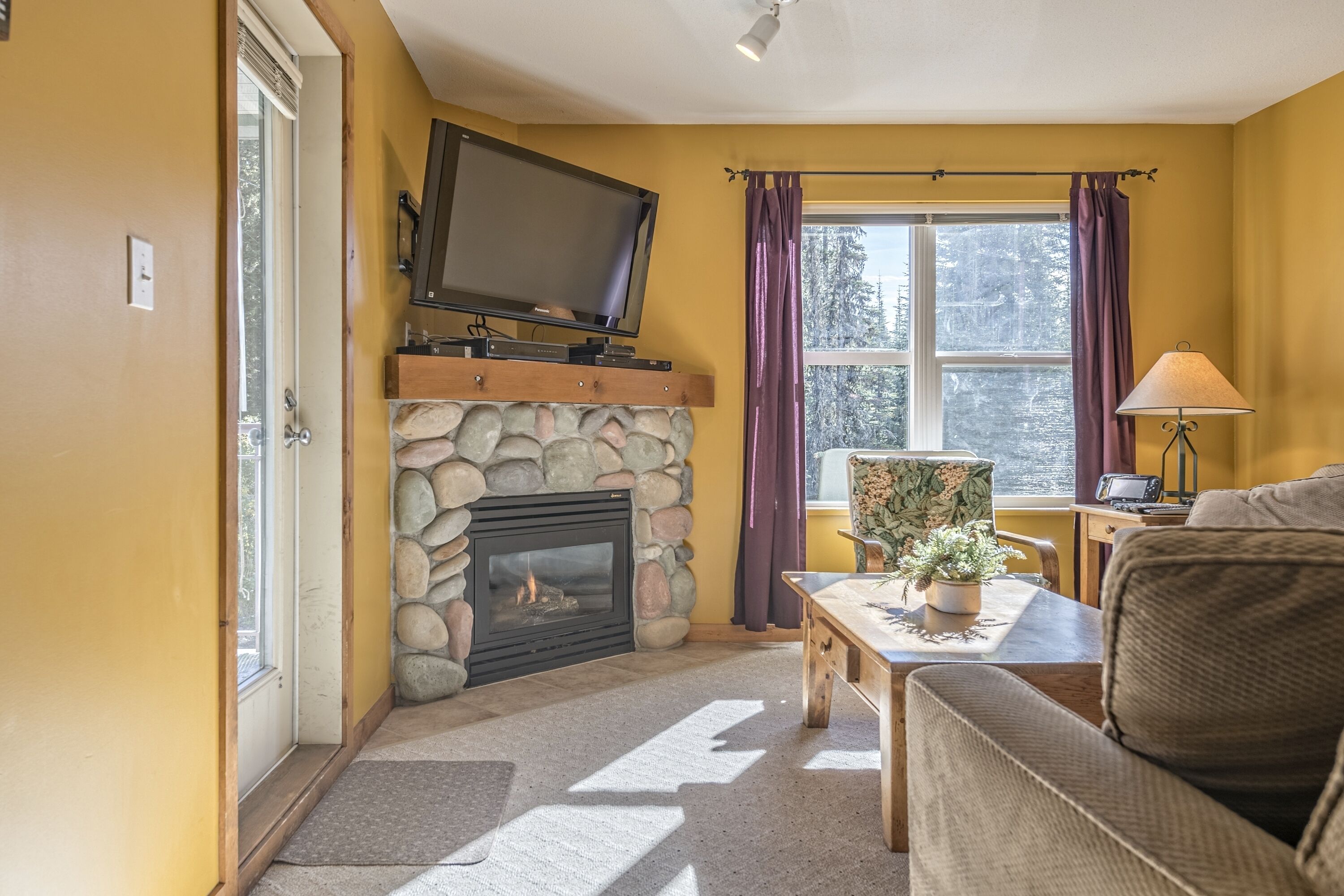 TV, fireplace, books