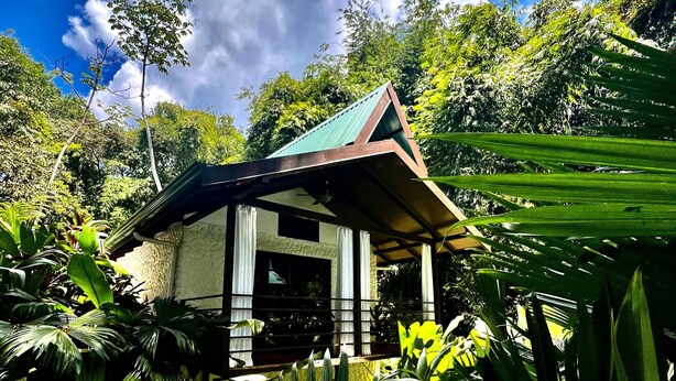 A small, single-story structure with a green roof, surrounded by lush greenery and trees. - Private Bungalow-5min from Manuel Antonio beach (Quepos, Manuel Antonio)