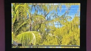 A framed picture of a tropical landscape with palm trees and a body of water. - "Beyond" a paradise in Barbados (Cattlewash)