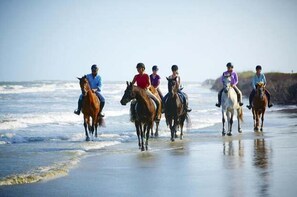 Vlak bij het strand
