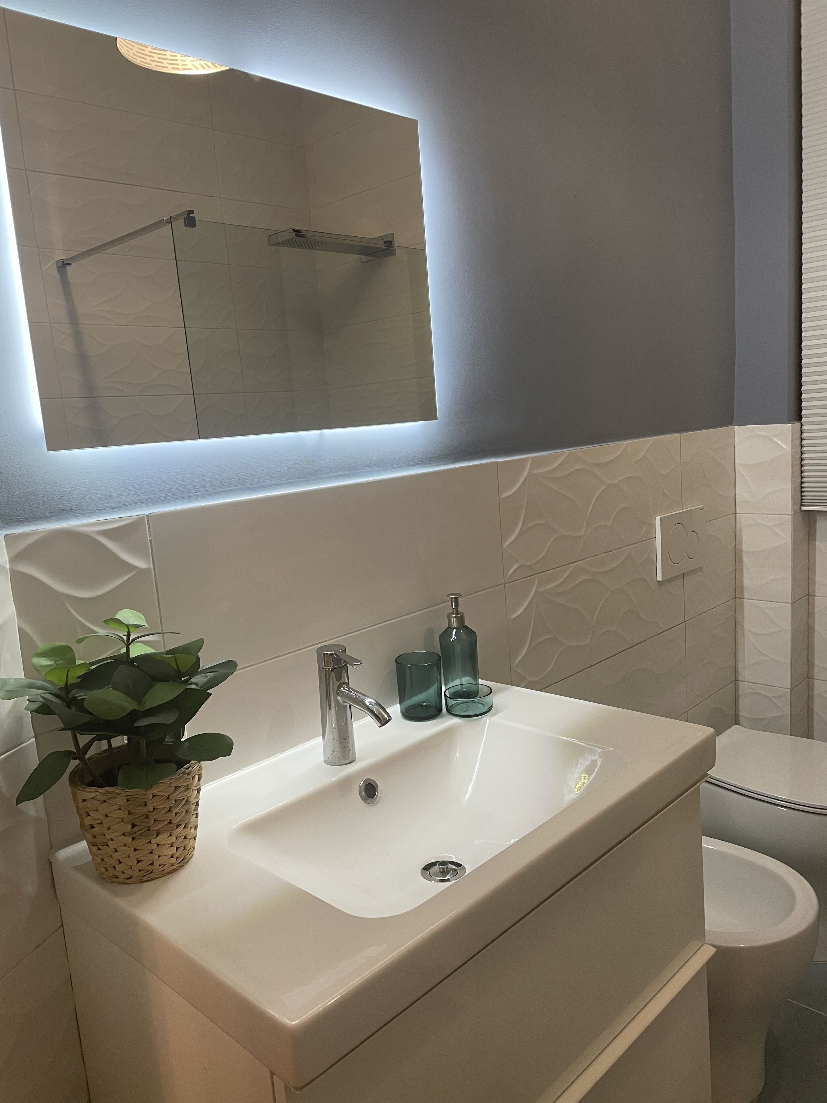 Shower, hair dryer, bidet, towels