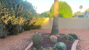 Un jardin aménagé avec différentes espèces de cactus et de plantes succulentes, un chemin en briques et un palmier.