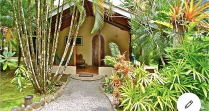 Casa Riviera- Walk to surf, tropical gardens, river access