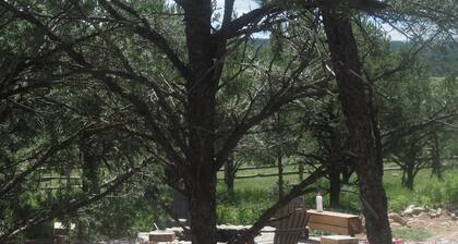 Luxury ranch home/cabin mountain retreat Carson Natl Forrest