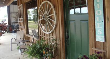 Southern Comfort Cabin- minutes from the river and the lake!