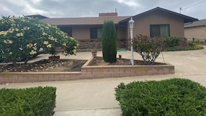 A residential house with a well-maintained garden, including flowering plants and a trimmed hedge.