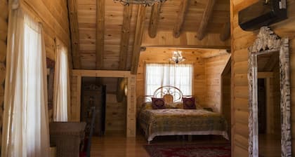 Rustic Balcony Room in Log Home Surrounded by State Forest! 11 miles from Ithaca