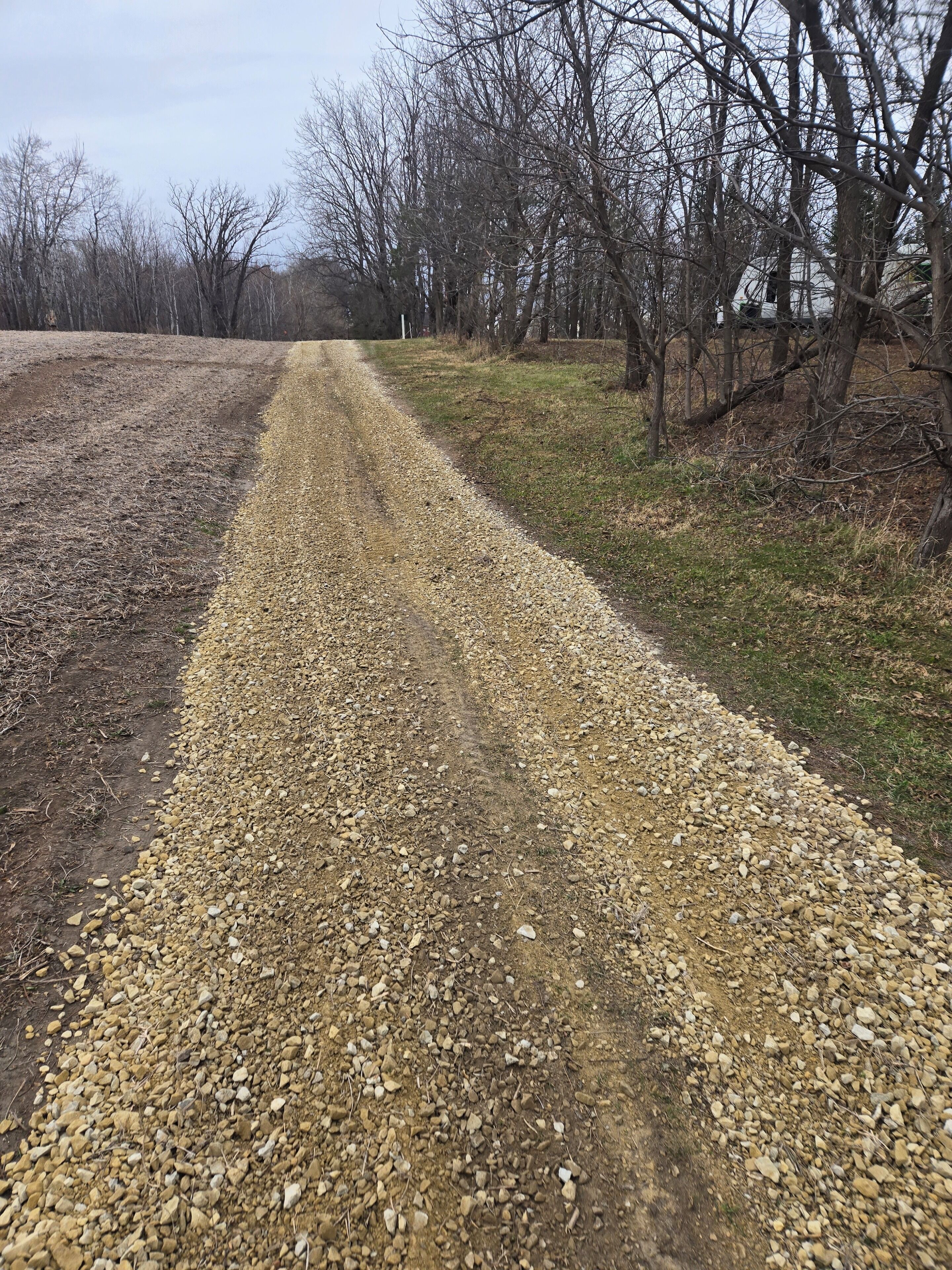 Un chemin de gravier bordé d’arbres des deux côtés.
