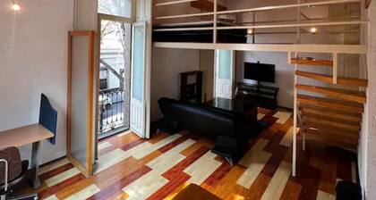 Loft with balconies and terrace