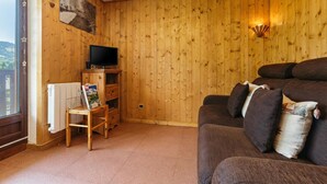 Una habitación con paneles de madera, un sofá, un televisor y un radiador.