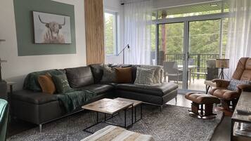 智能電視、壁爐