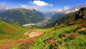 Un paisaje montañoso con un valle, laderas verdes y flores rojas.