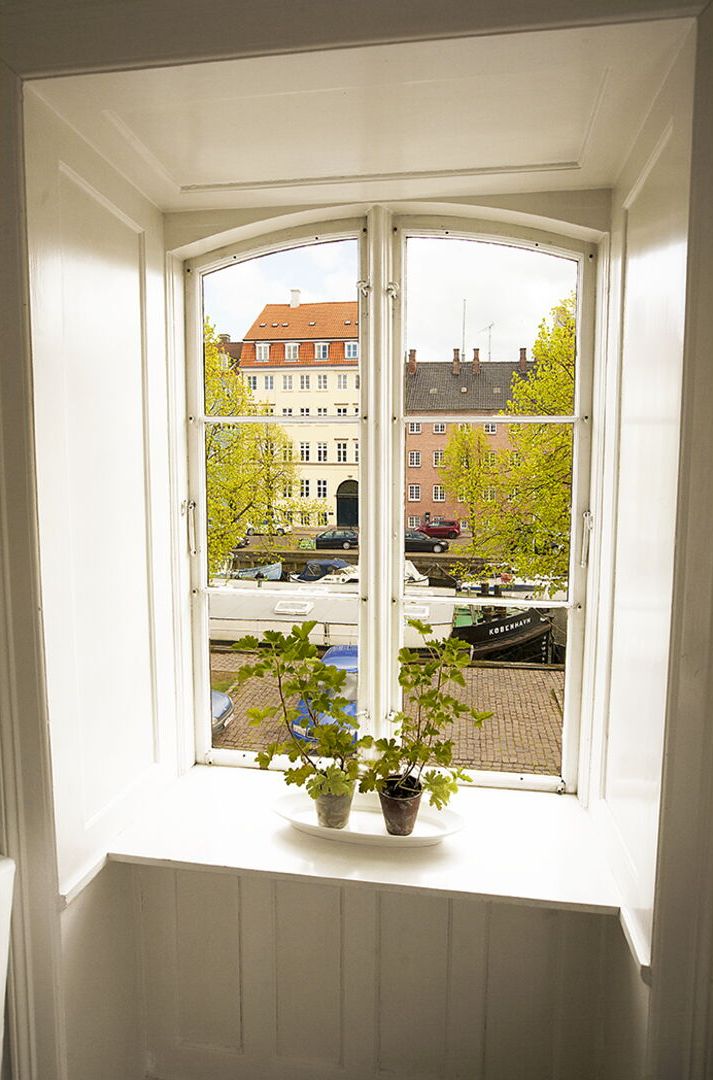 A bay window with two potted plants, overlooking a street with buildings and parked cars.