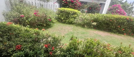 Terrain de lâhĂ©bergement