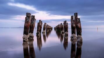 A calm lake with wooden posts in the center, surrounded by a clear sky.