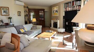 TV connectée, cheminée, jeux vidéo, lecteur de DVD