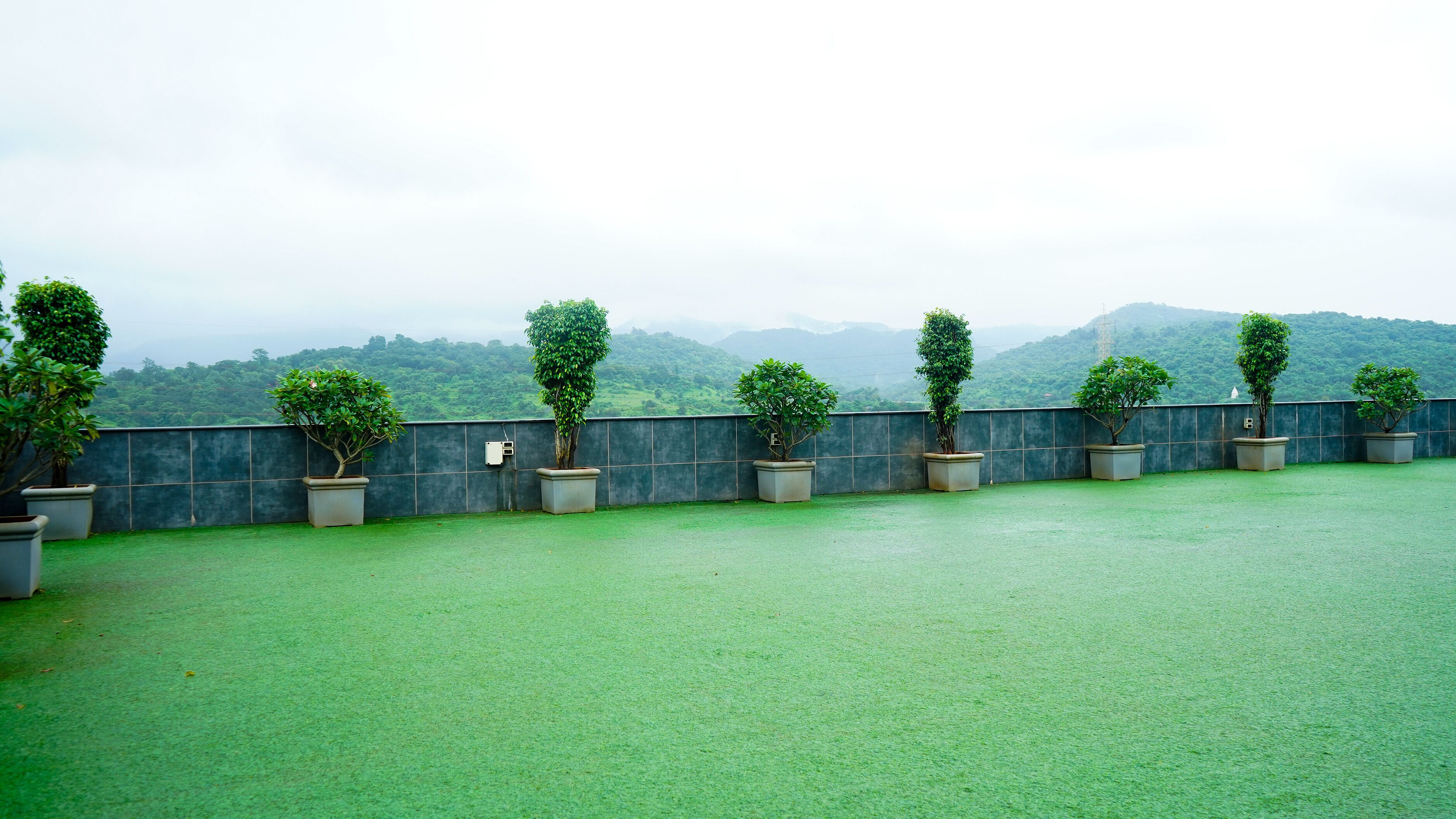 A rooftop terrace with green artificial grass, a low stone wall, and several potted trees.