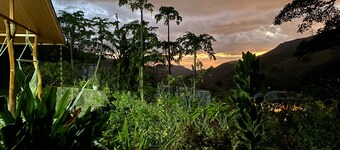Casa Cacique surrounded by nature and beauty