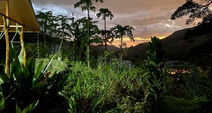 Casa Cacique surrounded by nature and beauty