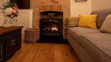 TV, fireplace, books