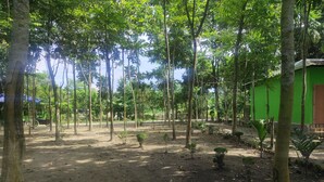 Een bebost gebied met aarde, bomen en een groen gebouw met een deur.