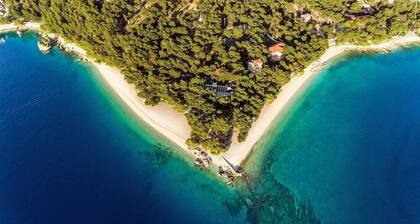 Bluesun Hotel Maestral