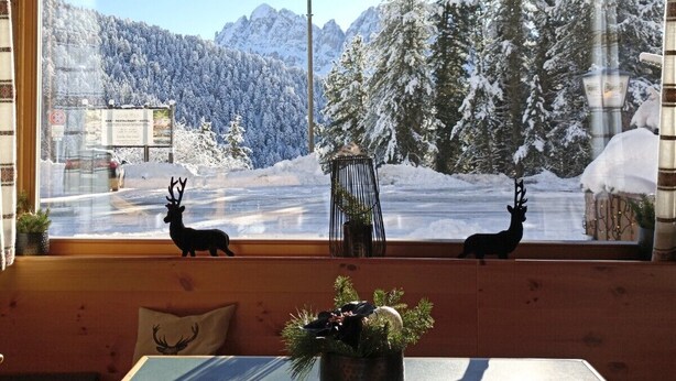 A wooden cabin with a large window overlooking a snowy mountain landscape. - PLOSE Parkhotel & Residence (Bressanone)