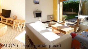 A single large room with a bed, a TV, and a desk area.