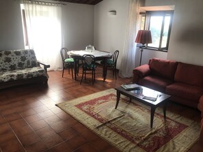 Télévision, cheminée, livres