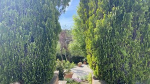A garden with various shrubs and a pathway. - Tranquility, relaxation? This is the right place. We'll be waiting for you!!! (Viterbo)
