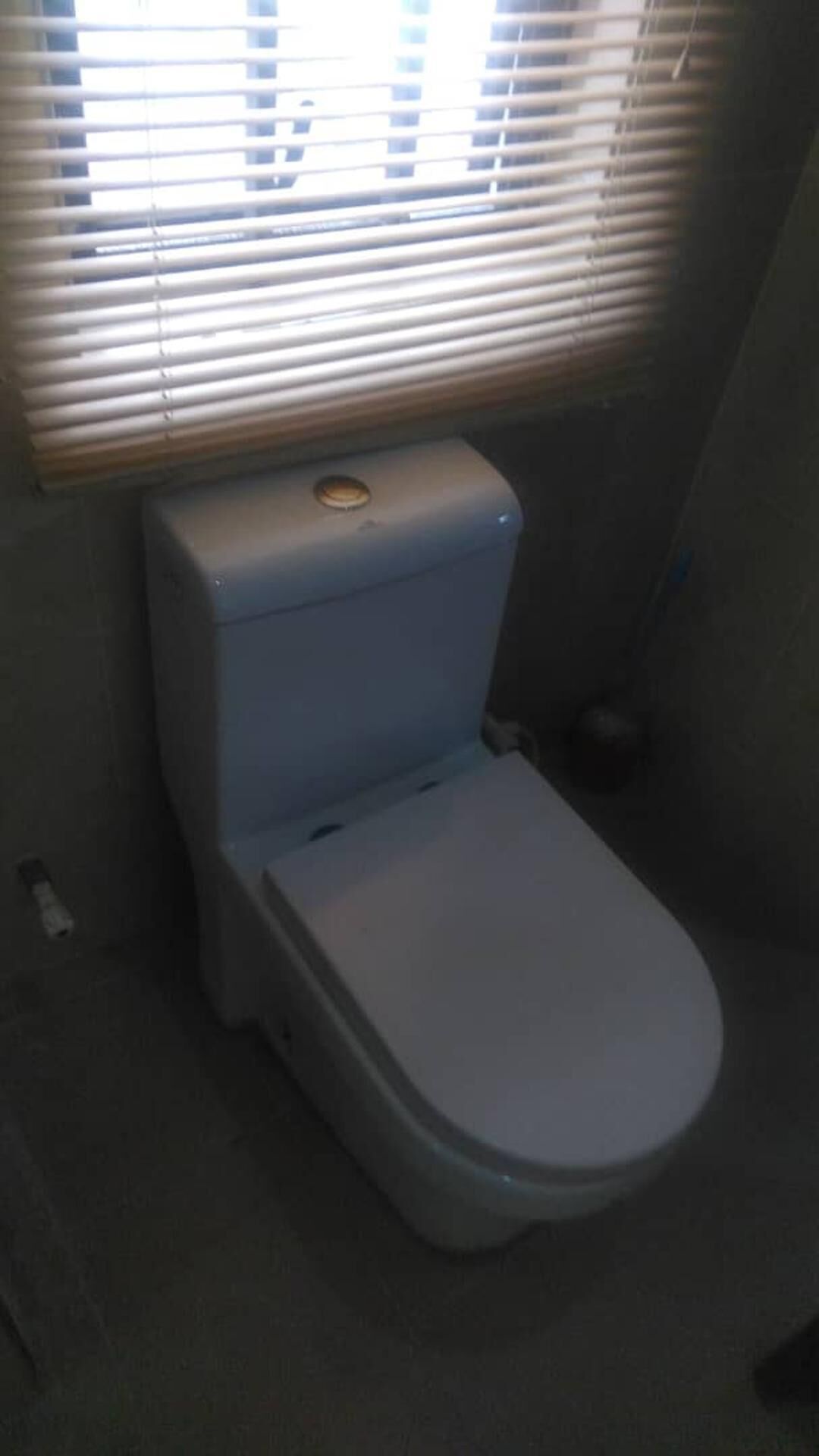 A small, compact bathroom with a toilet, a sink, and a window with blinds.