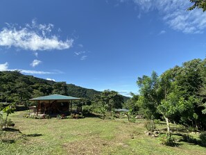 المنطقة المحيطة بالمنشأة