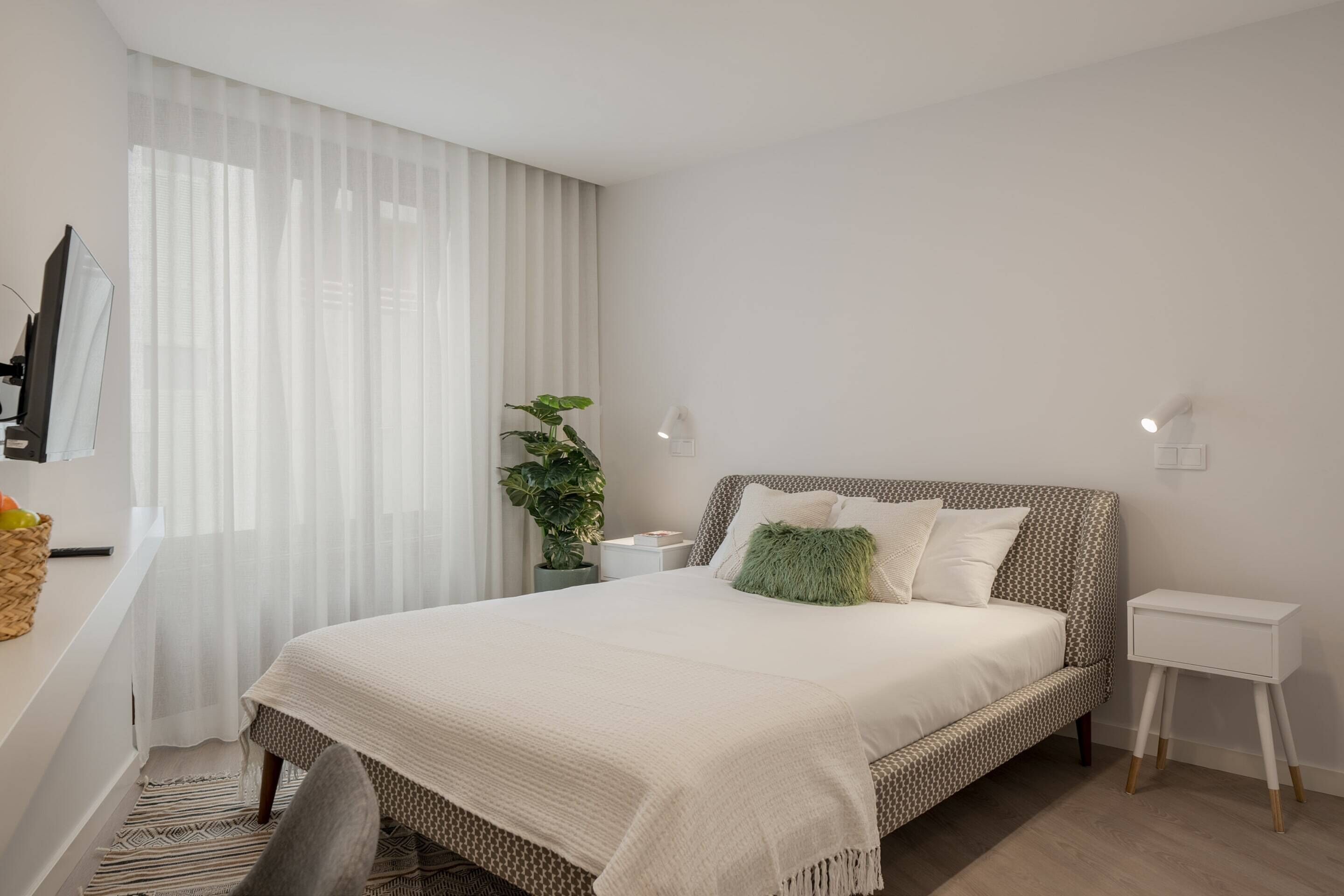 A modern bedroom with a large bed, a bedside table, a nightstand, a potted plant, and a window with sheer curtains.