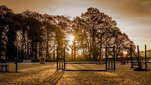 Una pista ecuestre con una puerta de salida, rodeada de altos árboles y un cielo despejado.