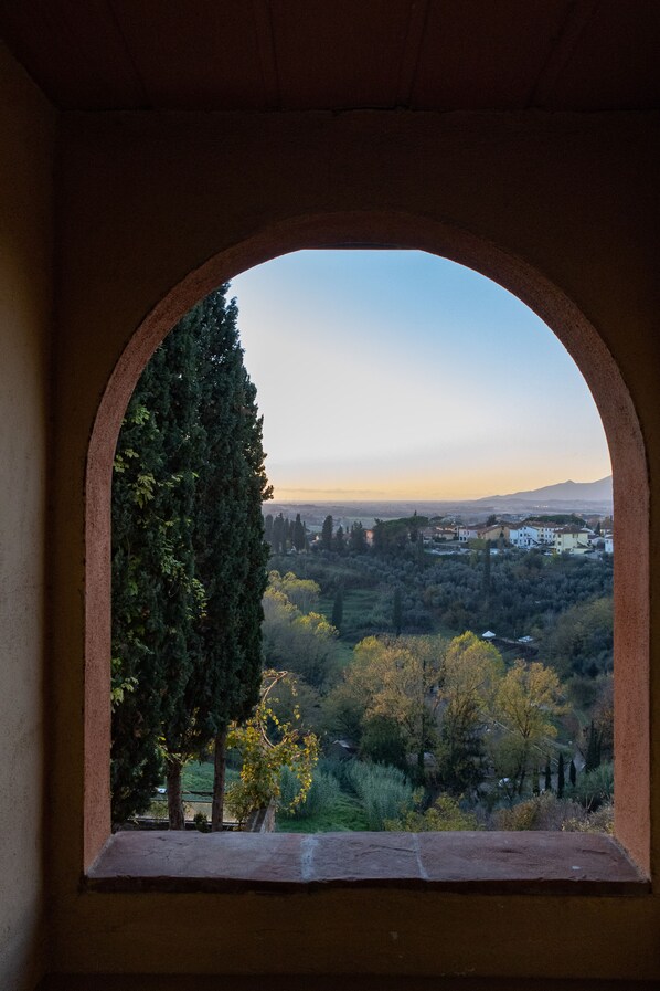 Vista a través de un ventanal arqueado que muestra un paisaje con árboles y edificios.