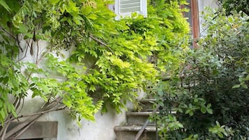 Vue sur le jardin