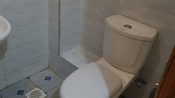 Shower, towels, soap, toilet paper