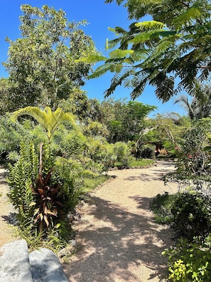 Garden view - Kameleon Blue (Kizimkazi)