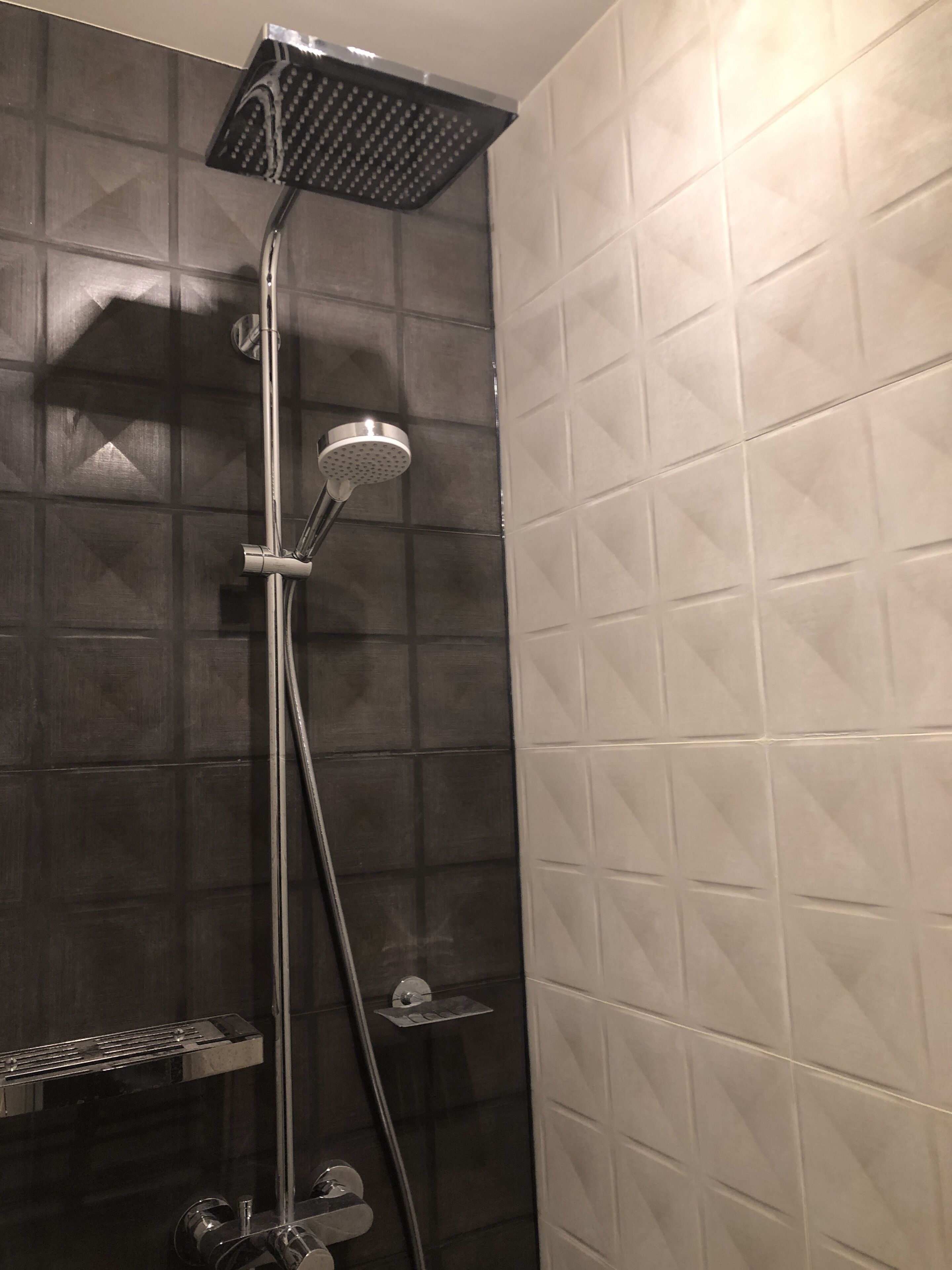 シャワー、ヘアドライヤー、タオル、トイレットペーパー
