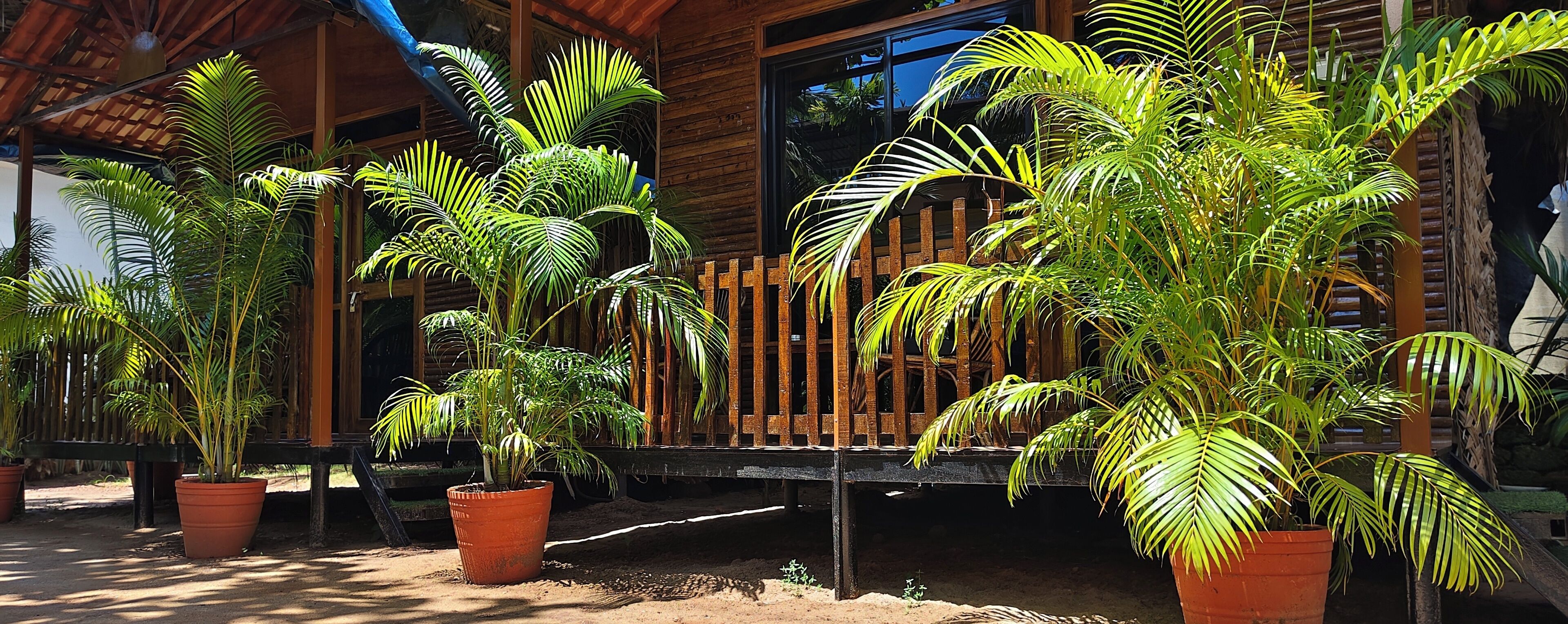 Tält Basic | Sängtillbehör av högsta kvalitet, memory foam-madrasser och skrivbord