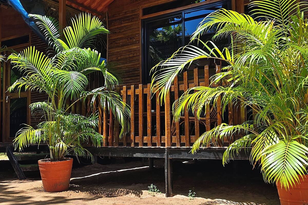 Basic Tent | Premium bedding, memory-foam beds, desk, bed sheets