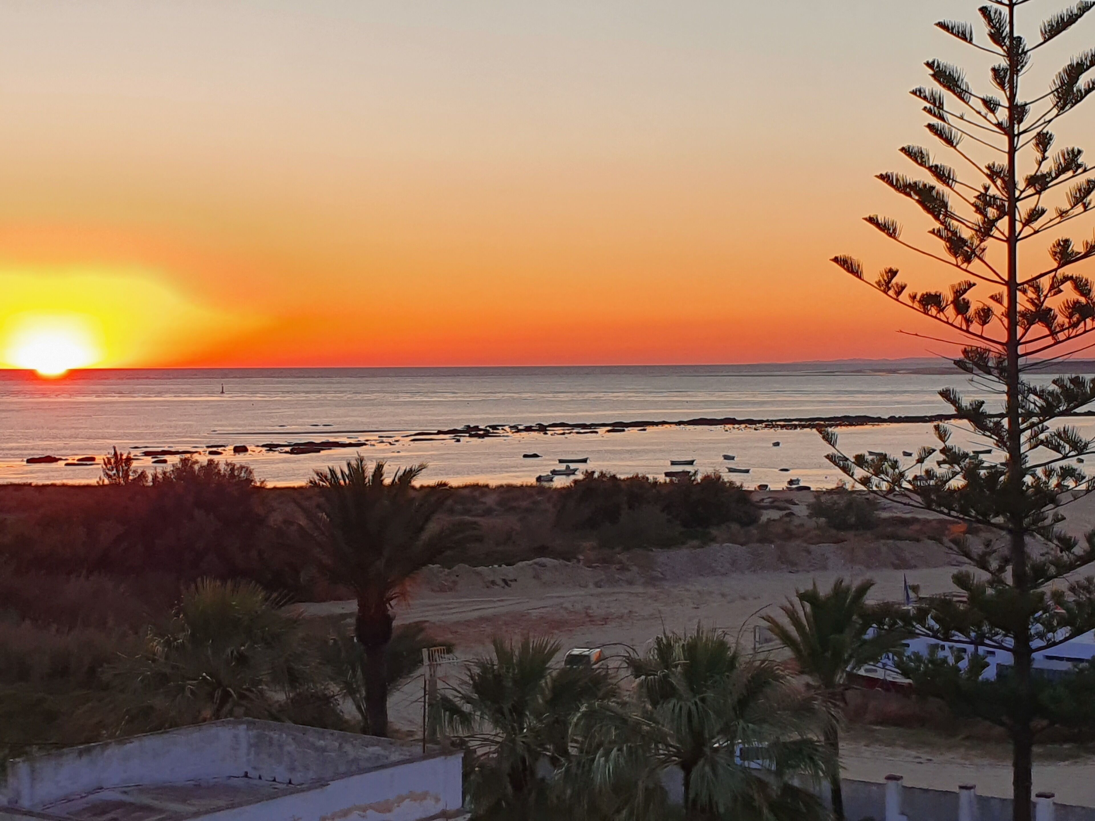 Vlak bij het strand, strandlakens, 4 strandbars