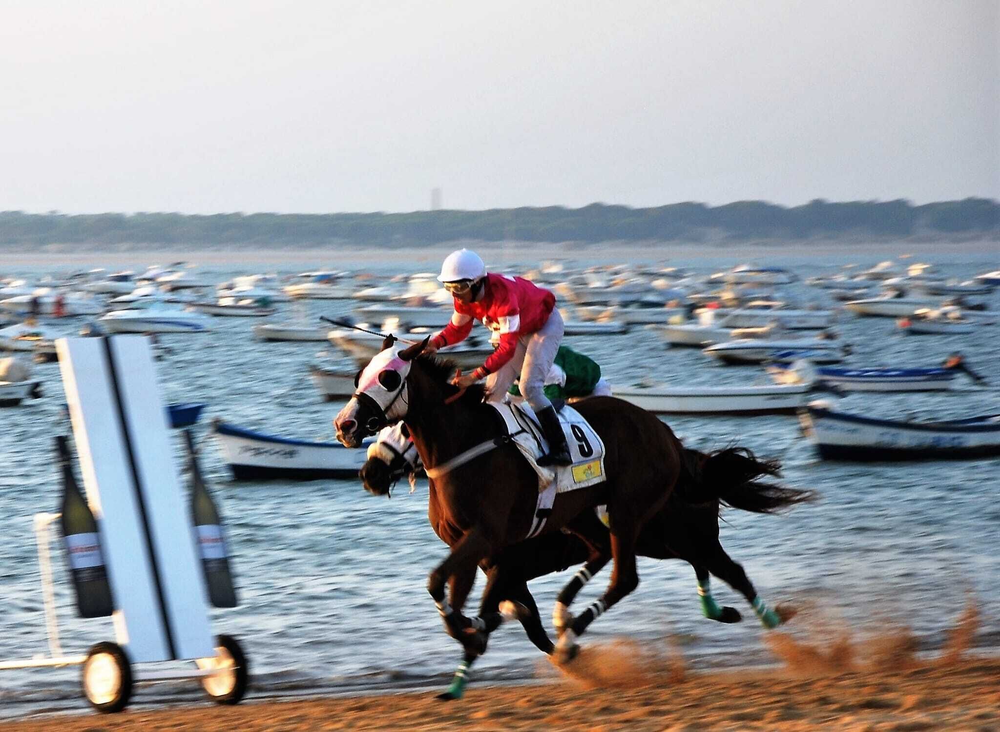 A horse race with a jockey on a horse, a track, and boats in the background.