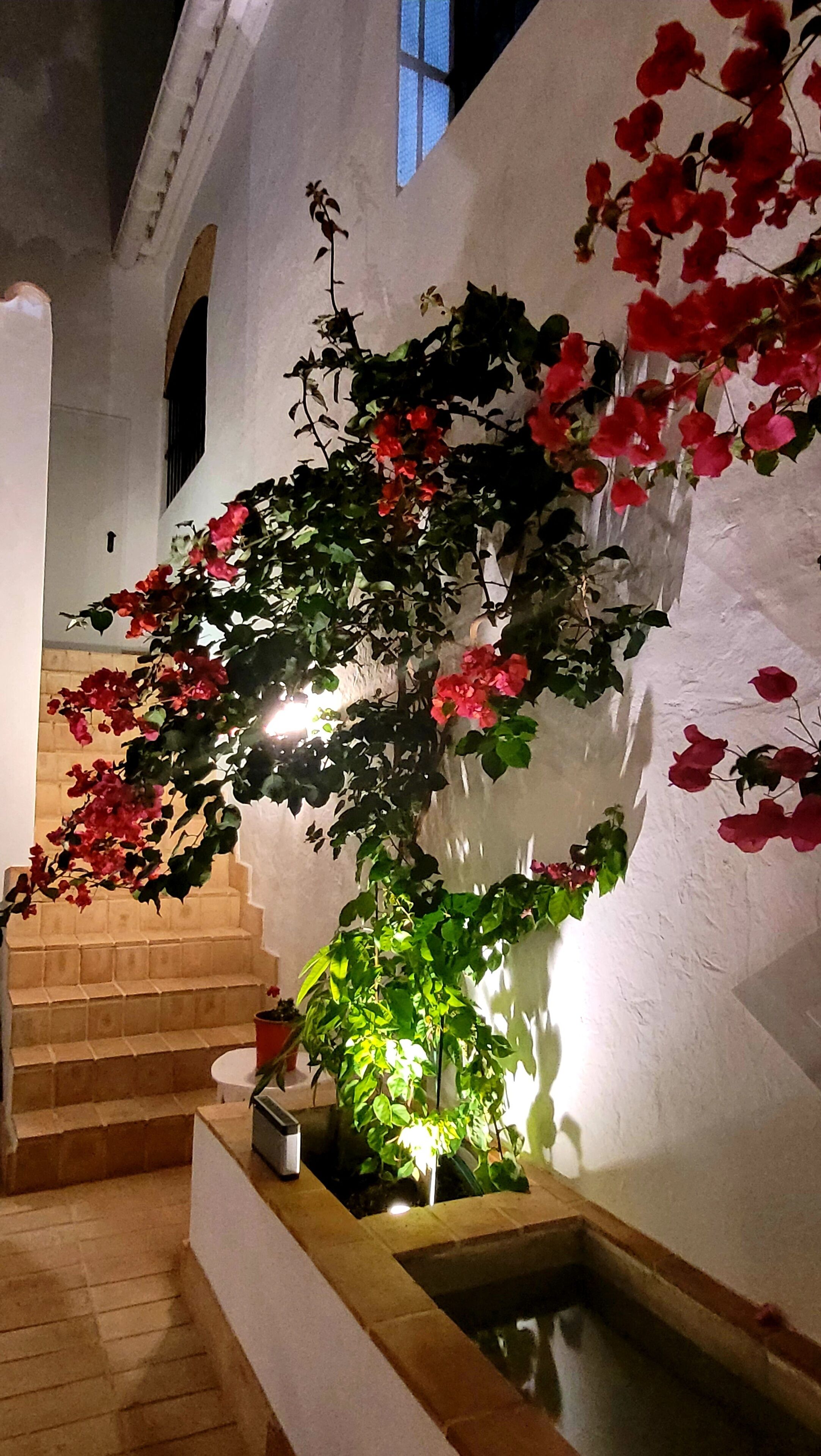 A staircase with a planter box containing a plant and a small water feature.