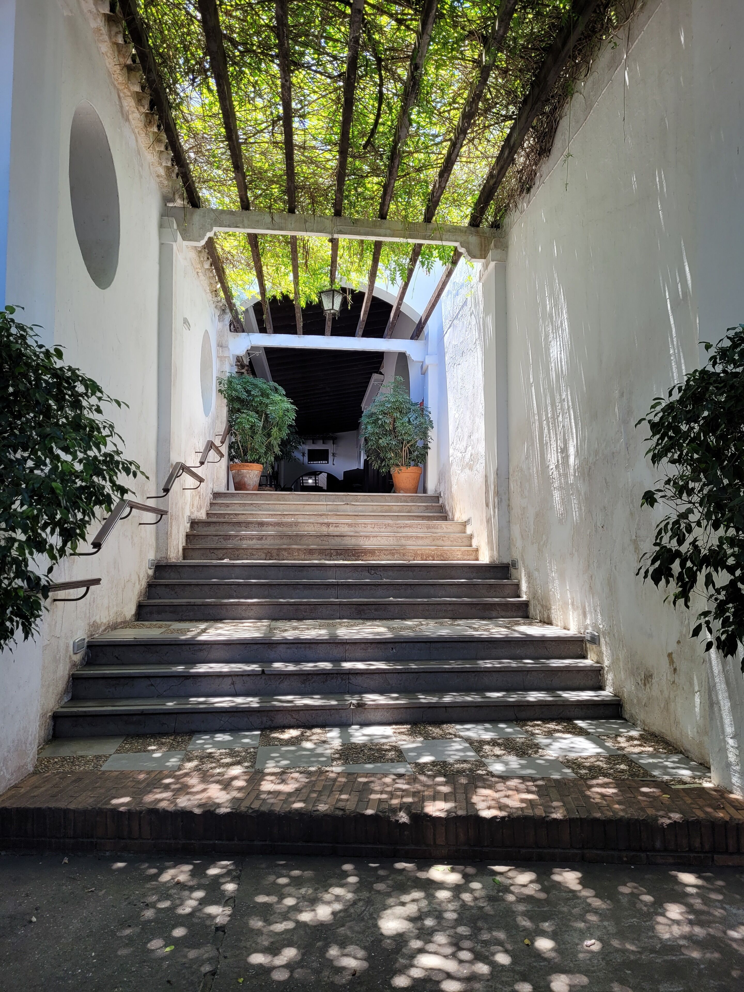 A staircase leading to a covered area with potted plants on either side.