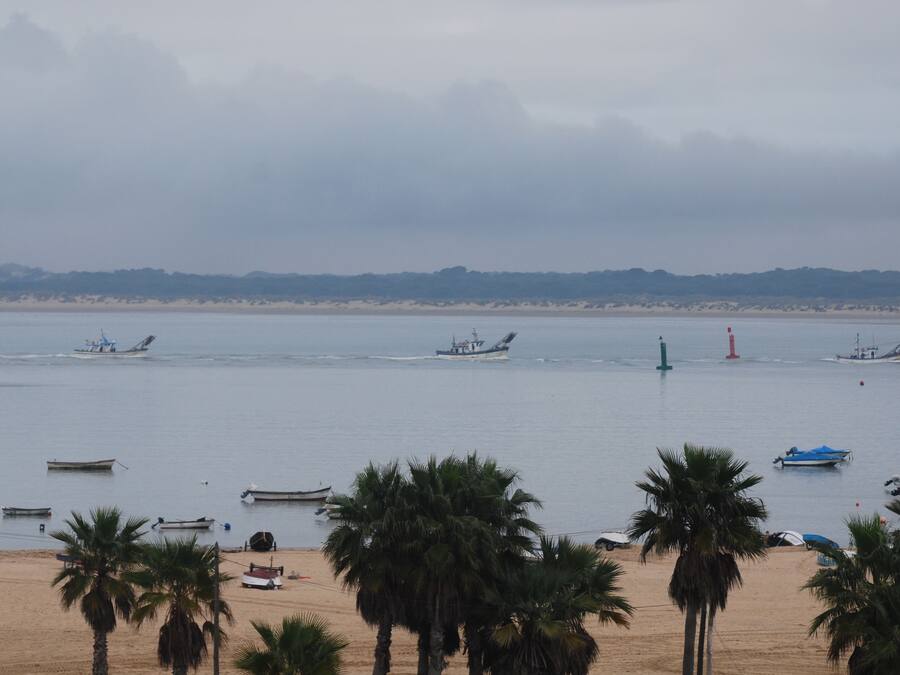 Una playa con barcos, palmeras y un faro a lo lejos.