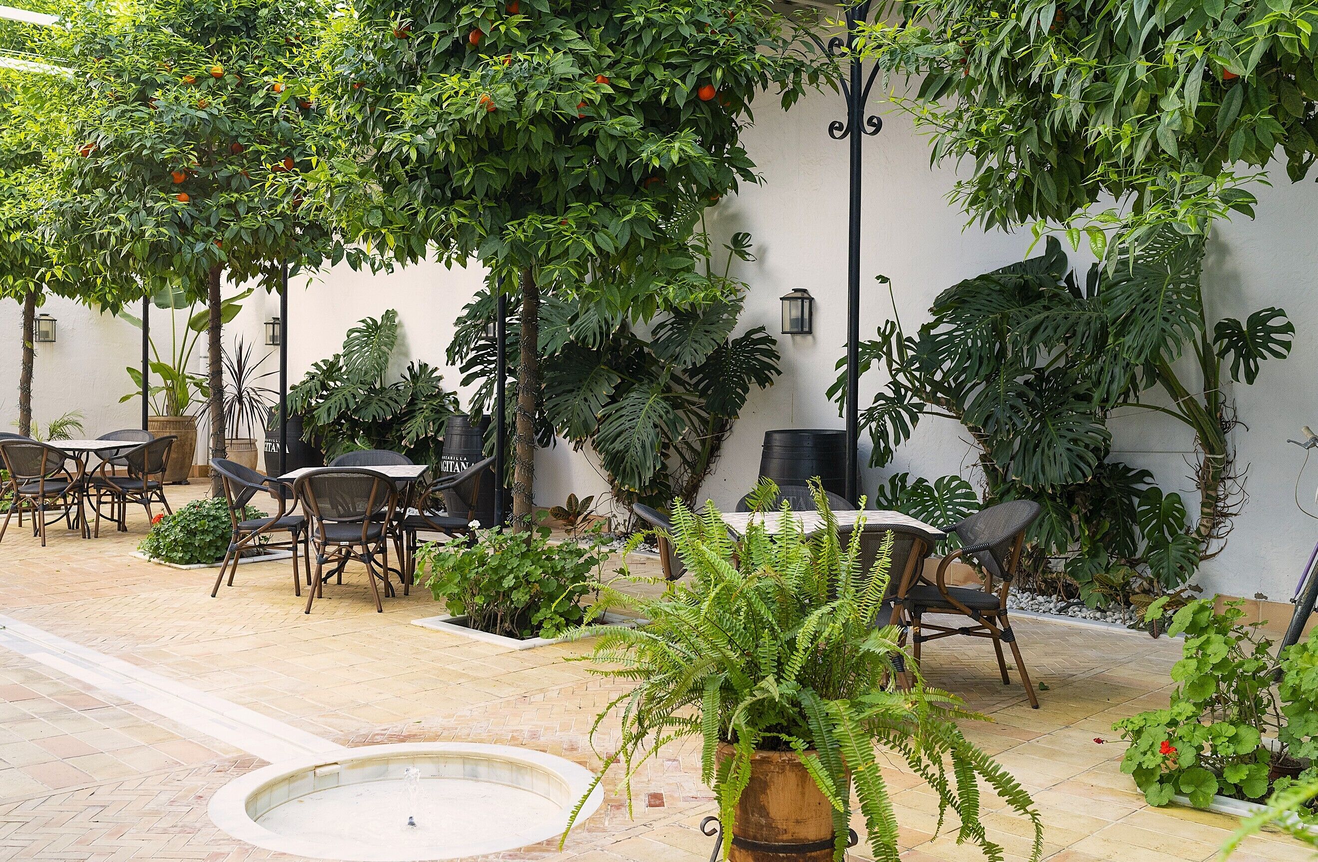 Une terrasse extérieure avec des chaises, des tables, une petite fontaine et diverses plantes en pot.
