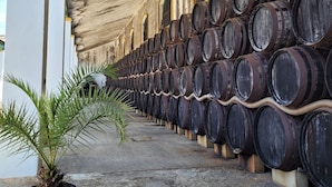 A row of wooden barrels stacked against a building with arched windows and a concrete floor. - Albariza Hotel Boutique (Sanlucar de Barrameda)